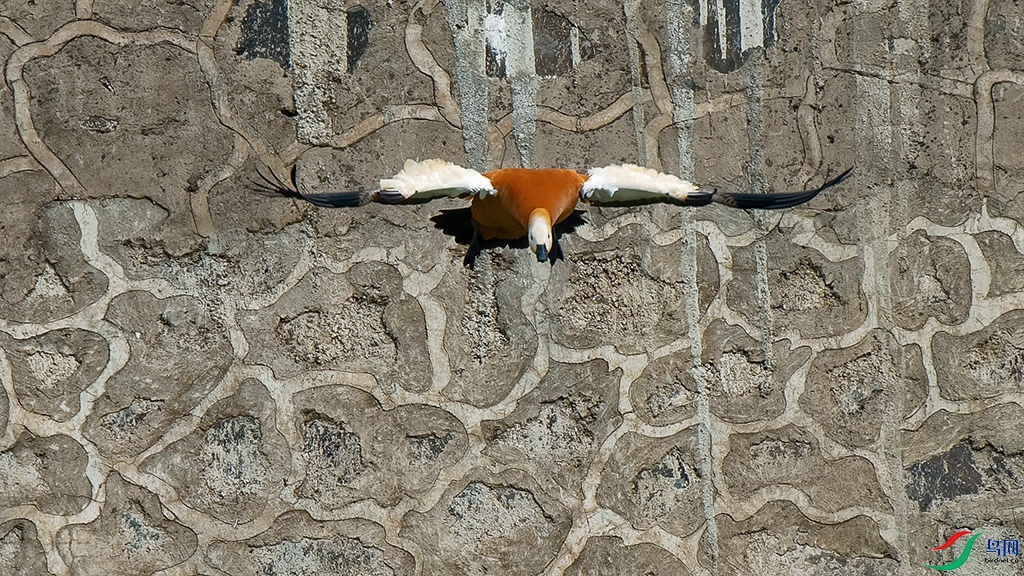 DSC_6757_DxOaa.jpg