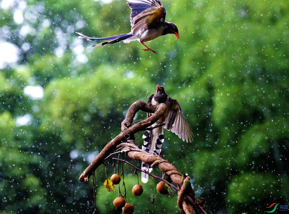 DSC_9818.JPG