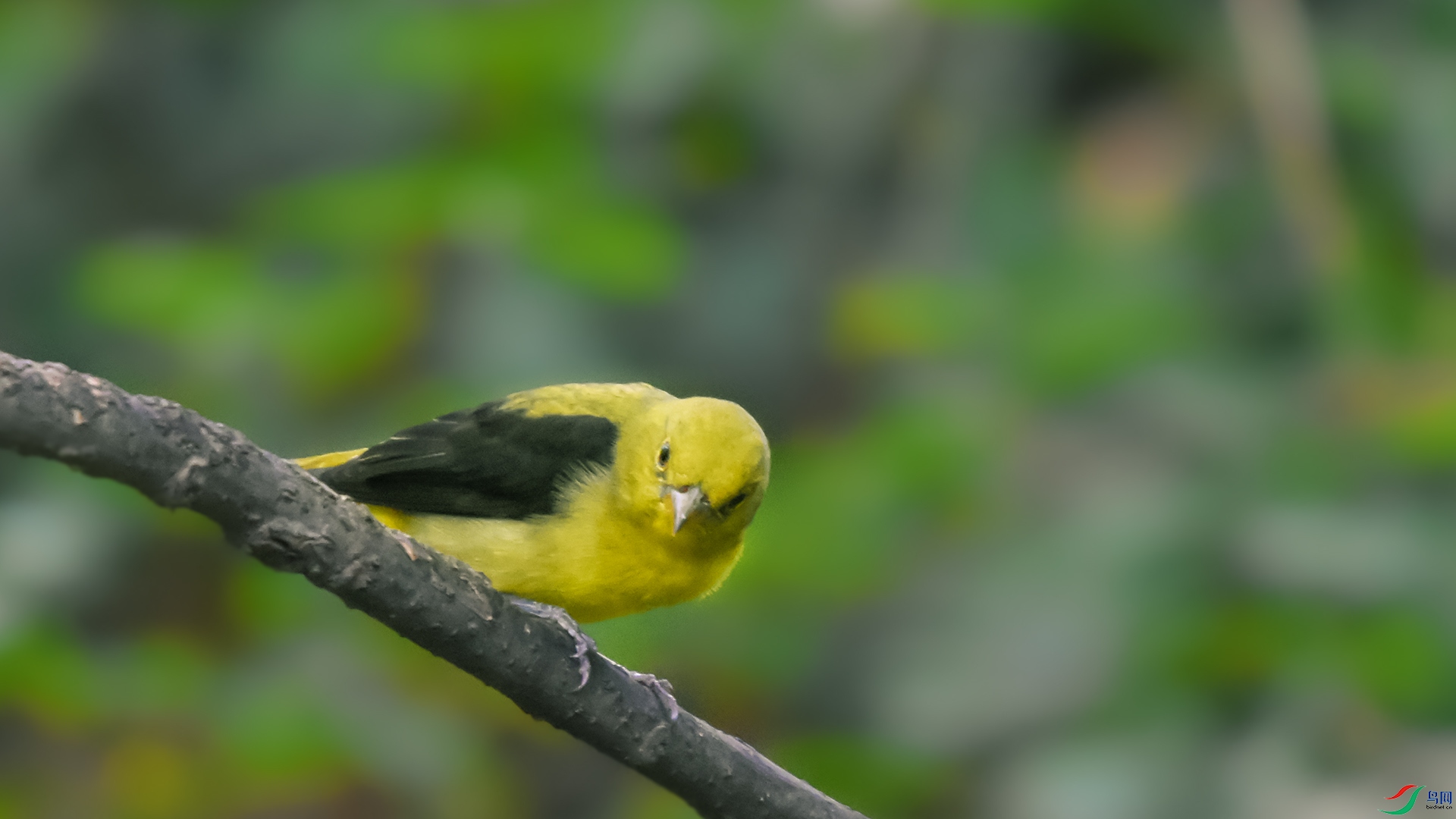 DSC_0990---����.jpg