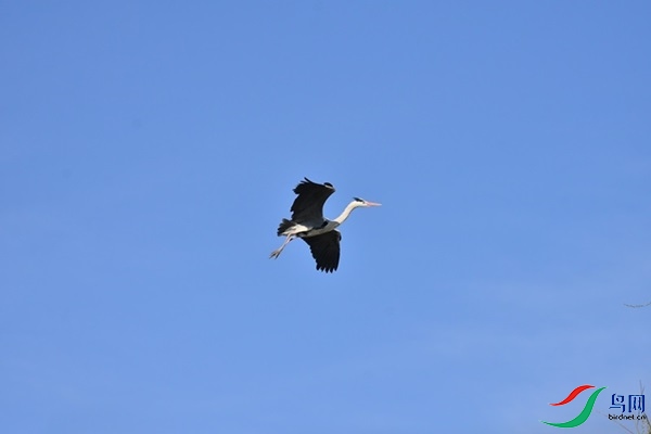017.JPG