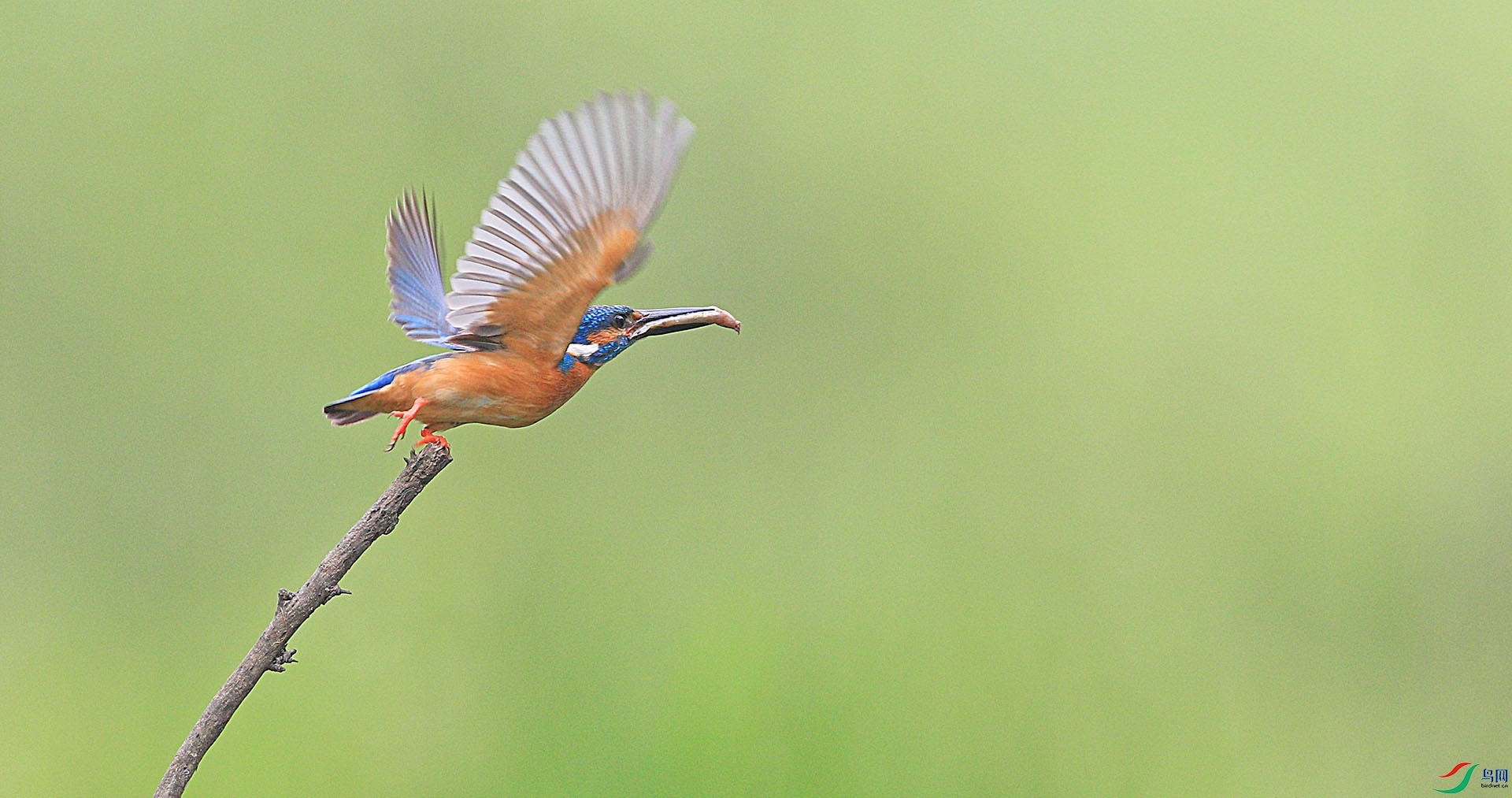 δ����_1.3.1.jpg