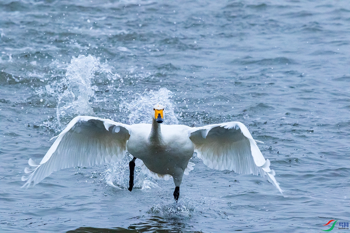 ��� 772_����.jpg