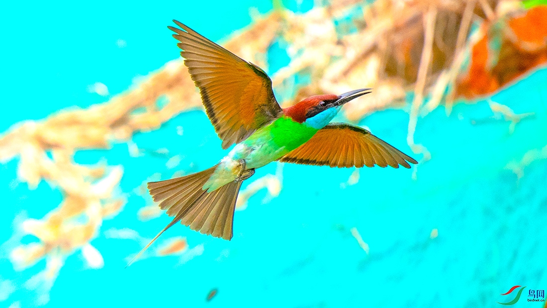��DSC_5601.jpg
