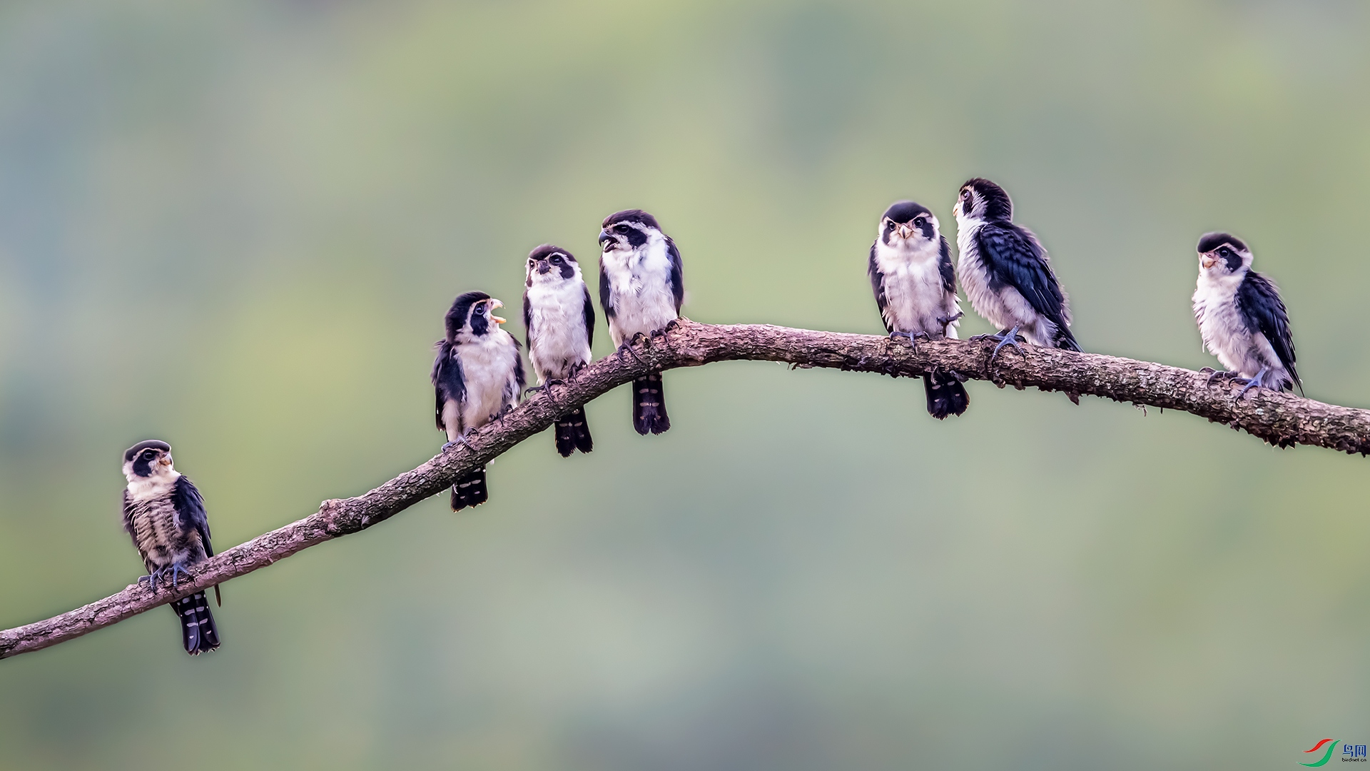 20210714����֦ͬ.jpg