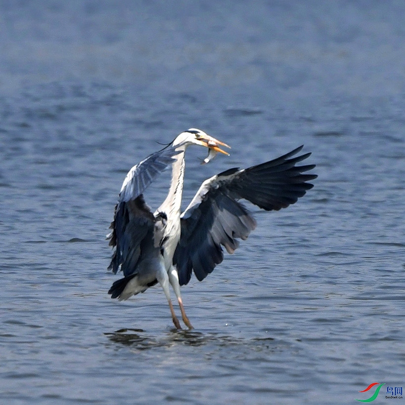 DSC_2024.jpg