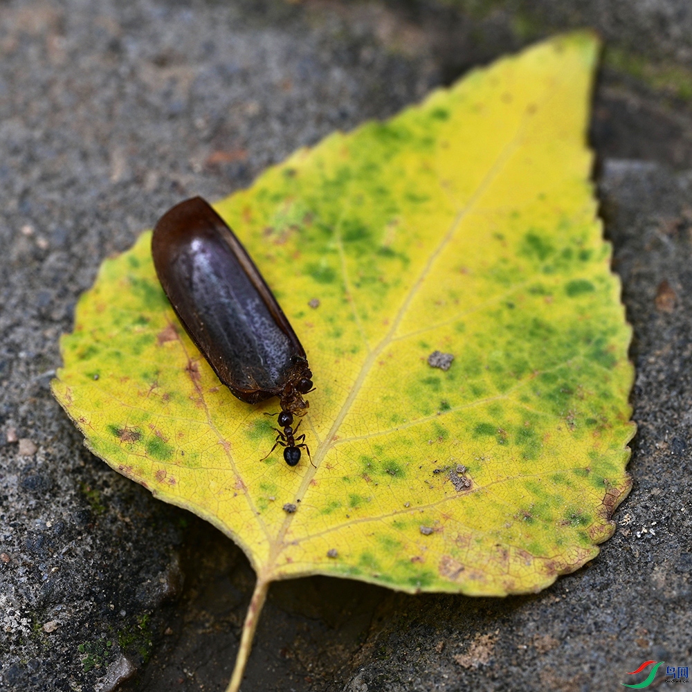 DSC_1627.jpg
