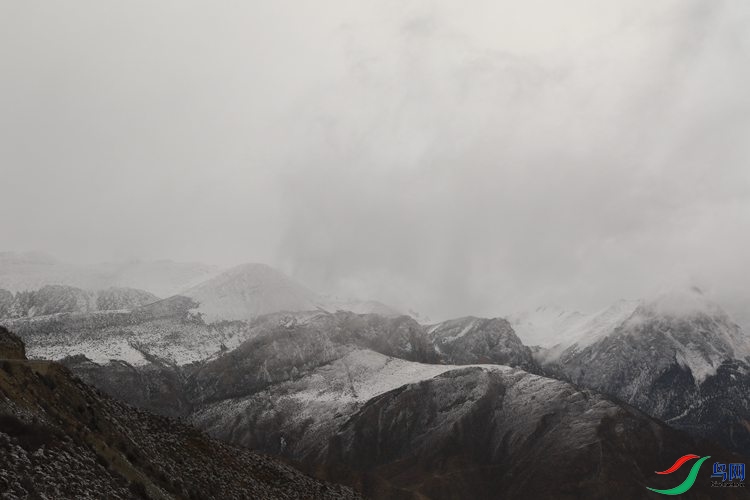 0S2A0977.JPG