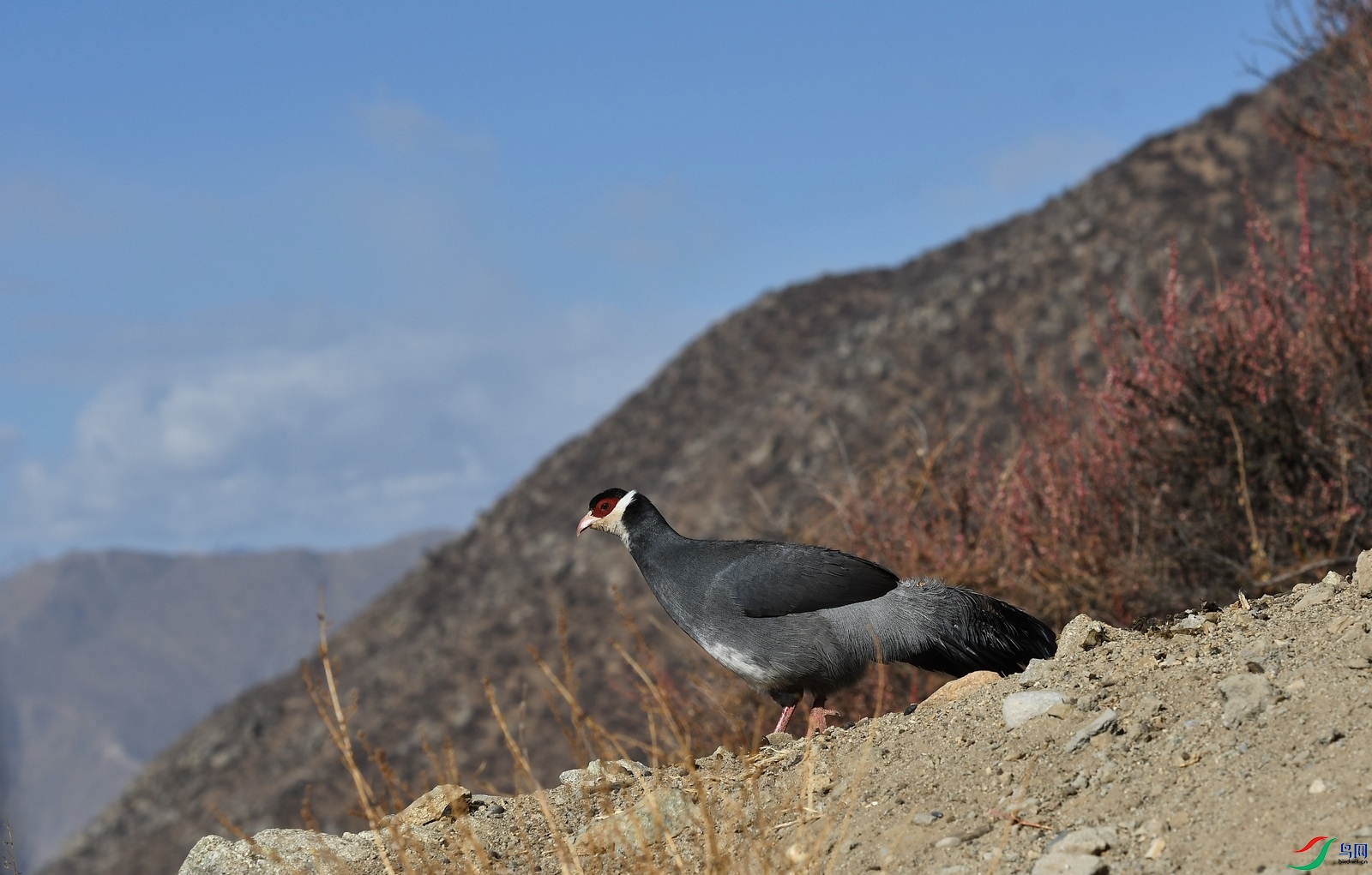 DSC_9762.JPG