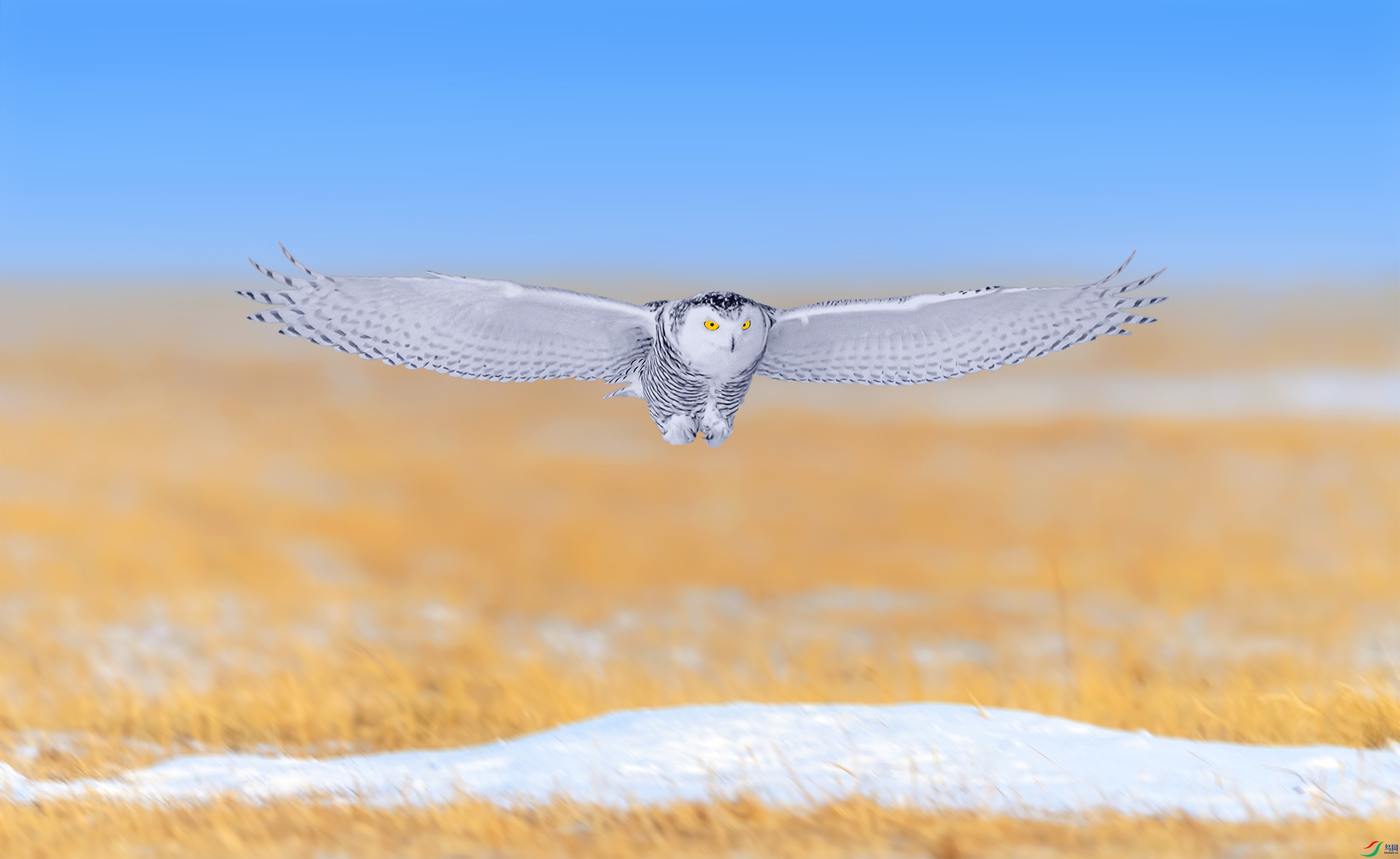 AC1I6468-2.jpg