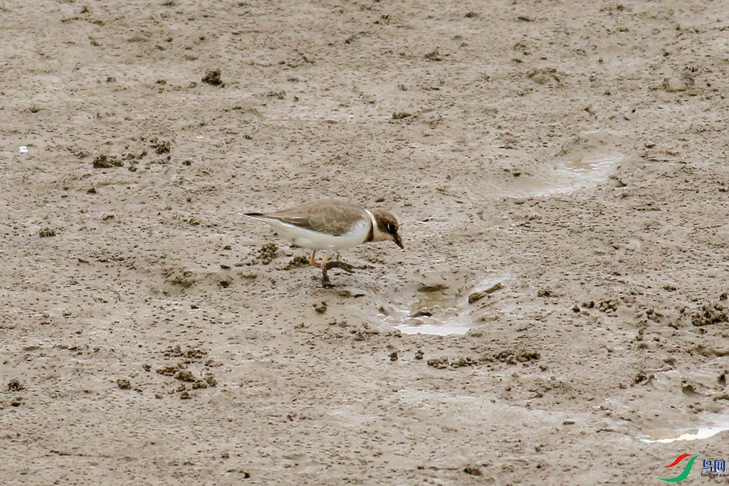 367A6836_����.jpg