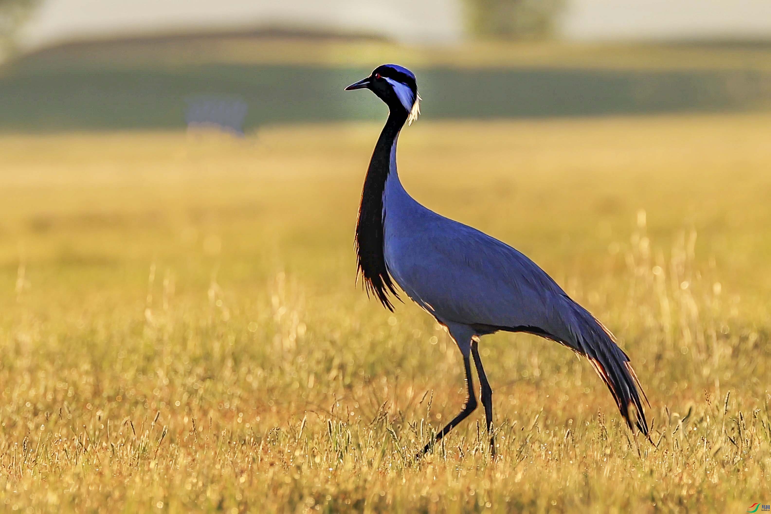 ���� 14.00_00_00_00.Still003����.jpg