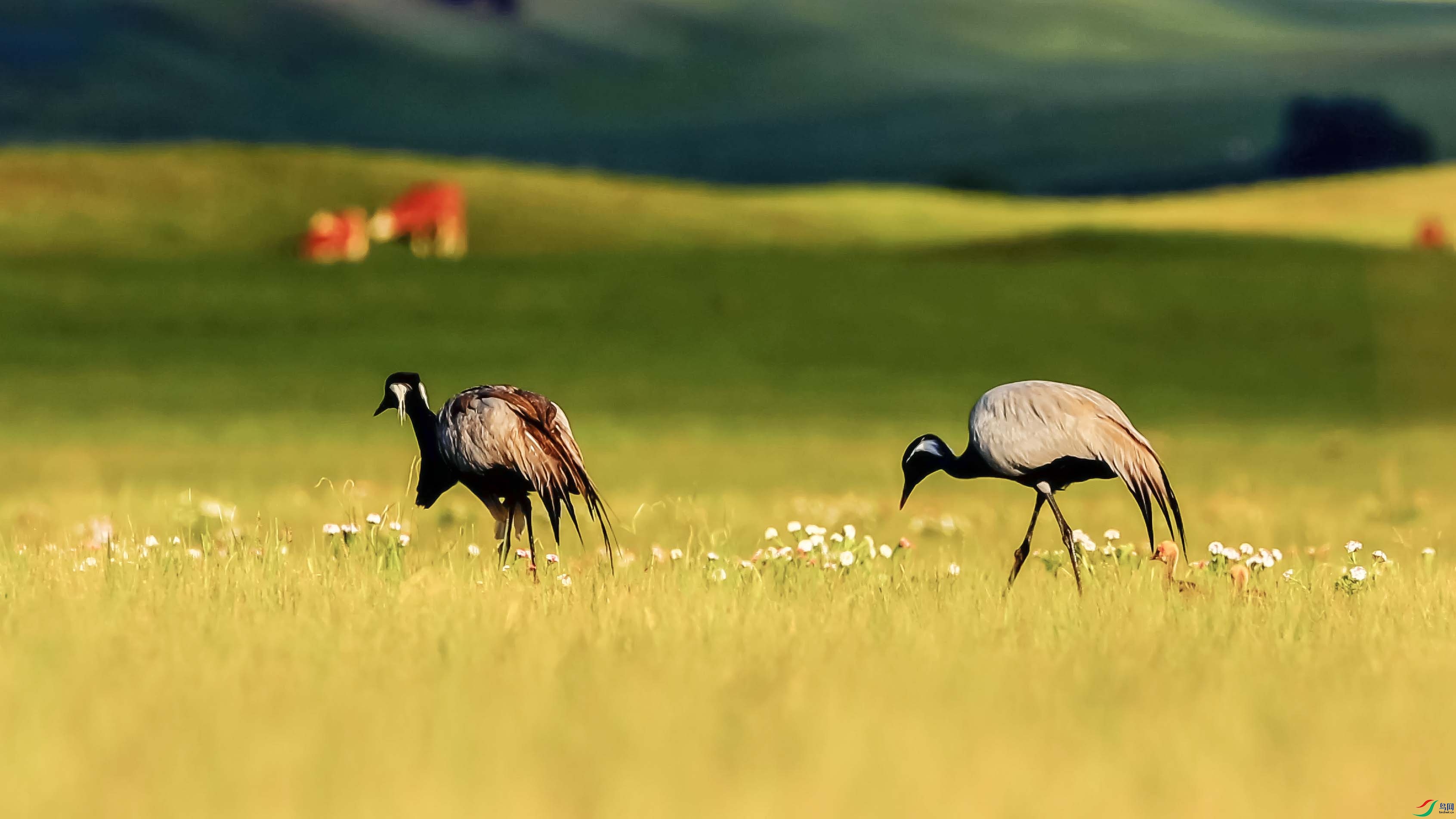 ���� 14.00_00_00_00.Still001����.jpg