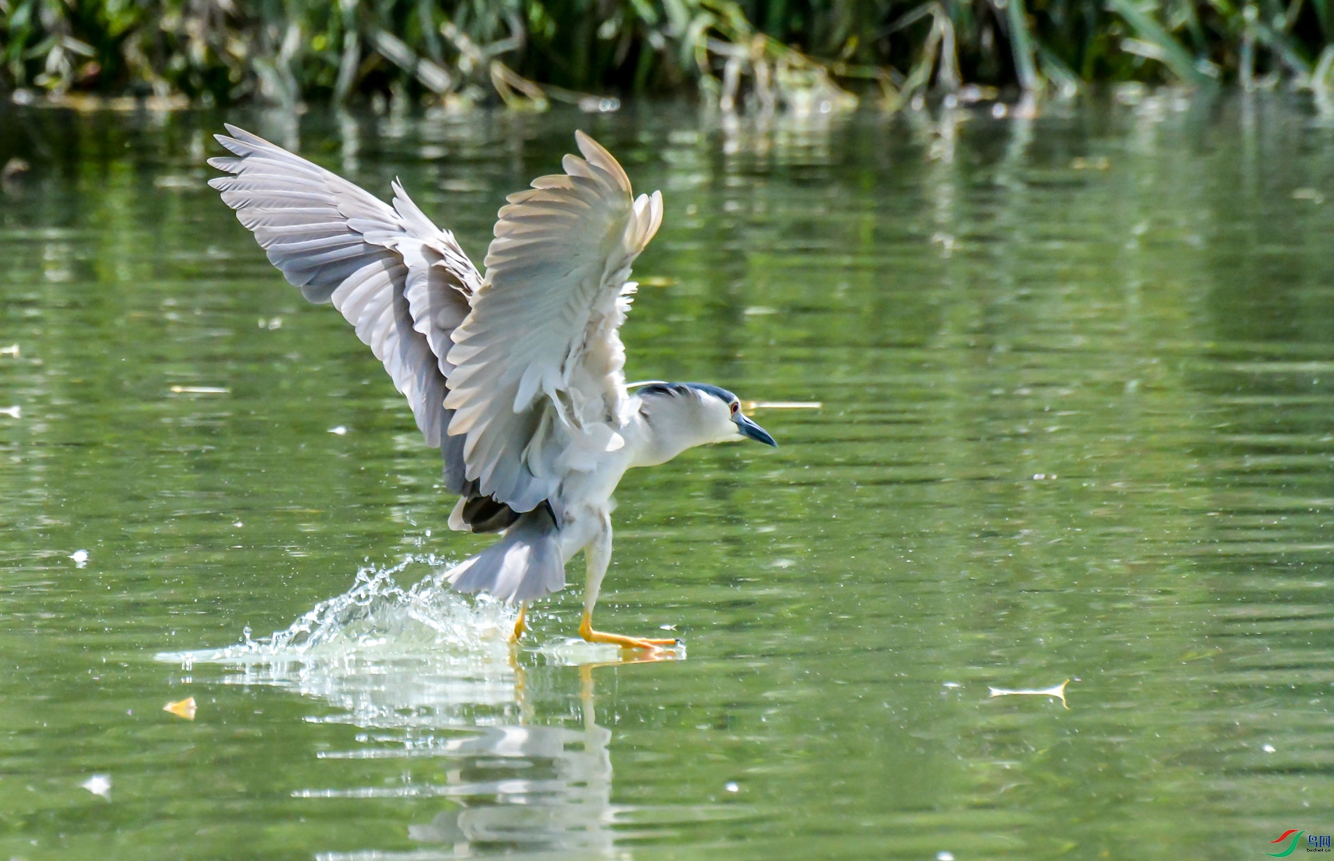 DSC_1444.jpg