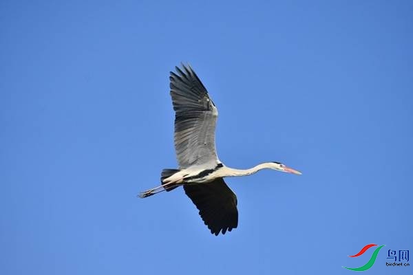1 (33).JPG
