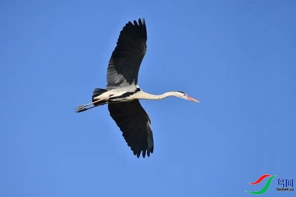 1 (84).JPG
