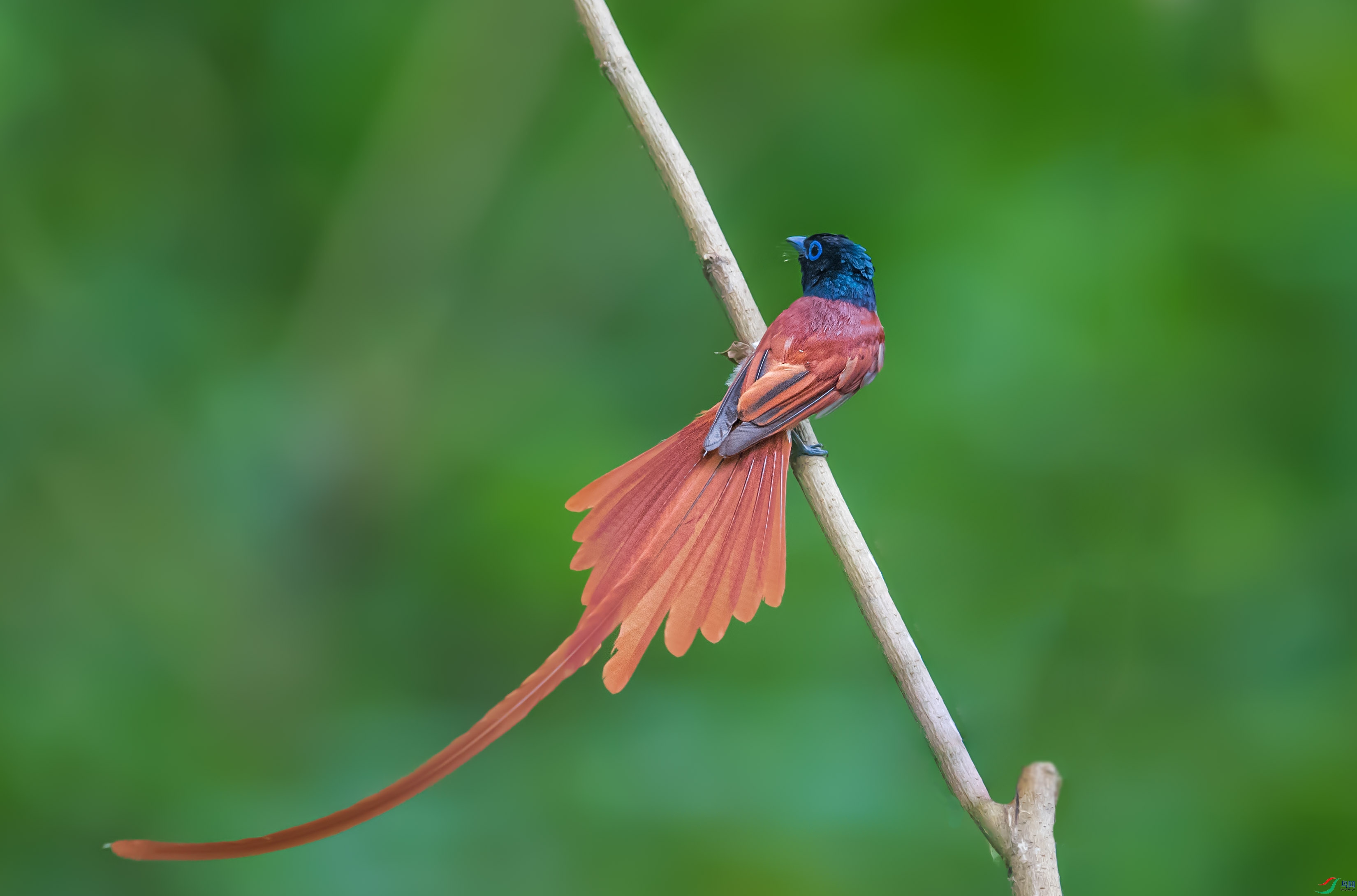 WGB_0256-1.jpg