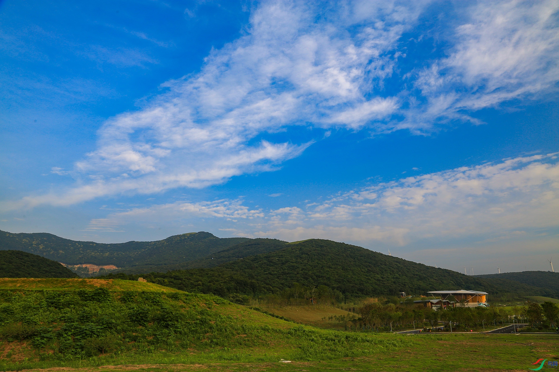 1C6A7268.JPG