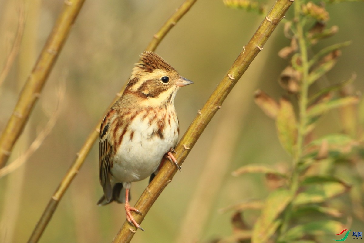 ʲô�M 0F4A8029.jpg