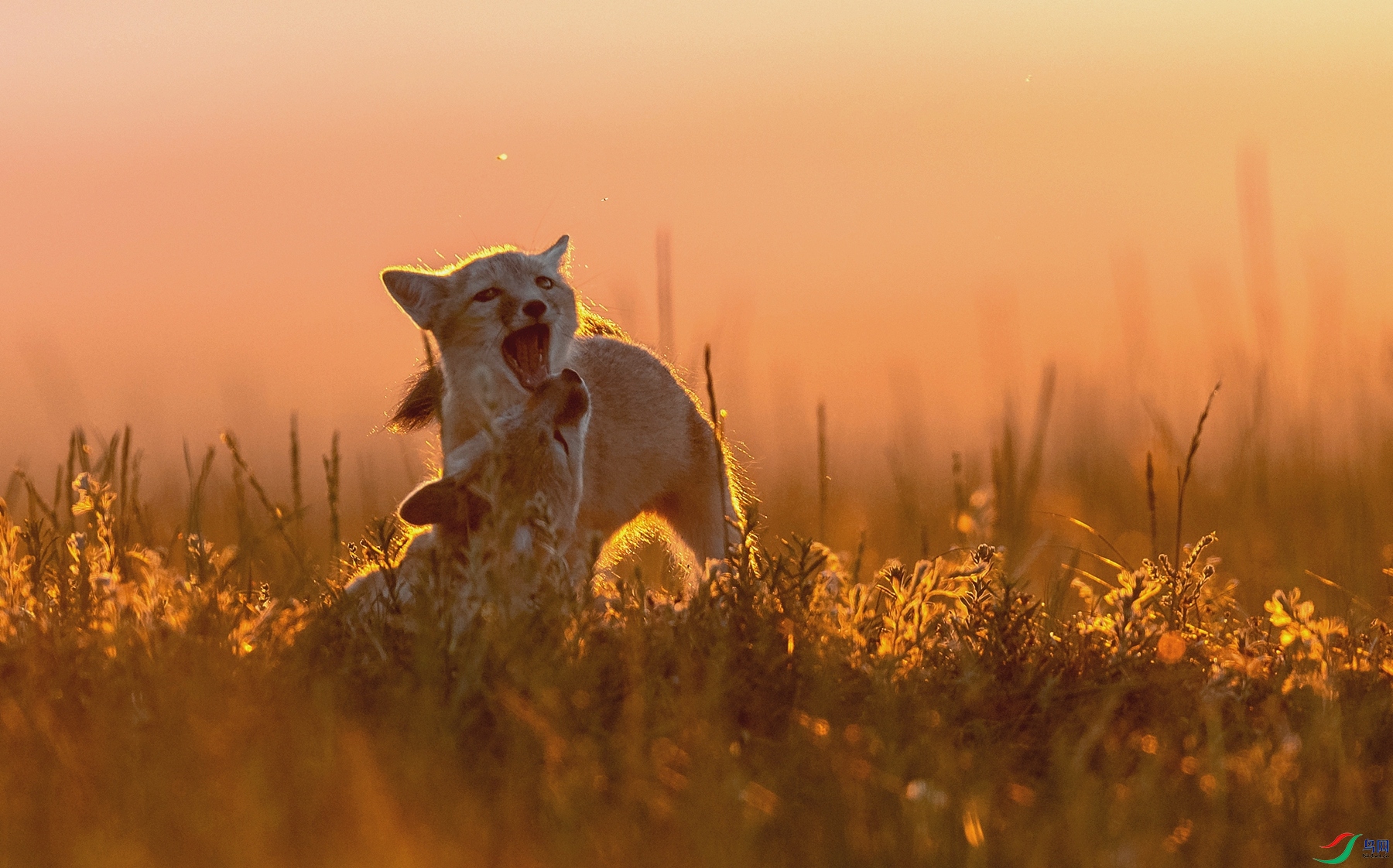 _DSC4635.jpgps6_����.jpg