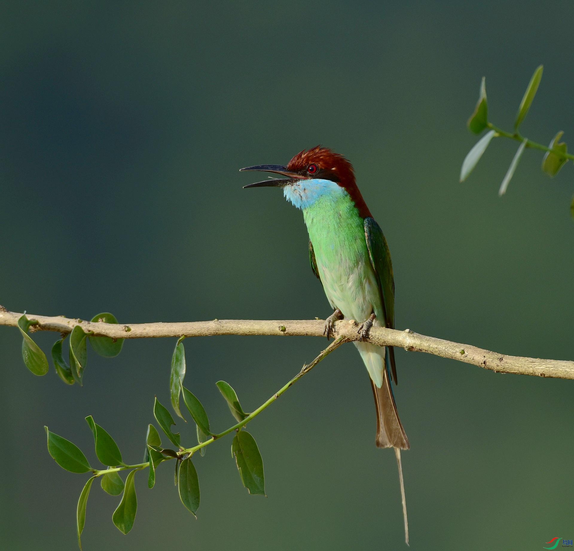 D8I_1202.jpg