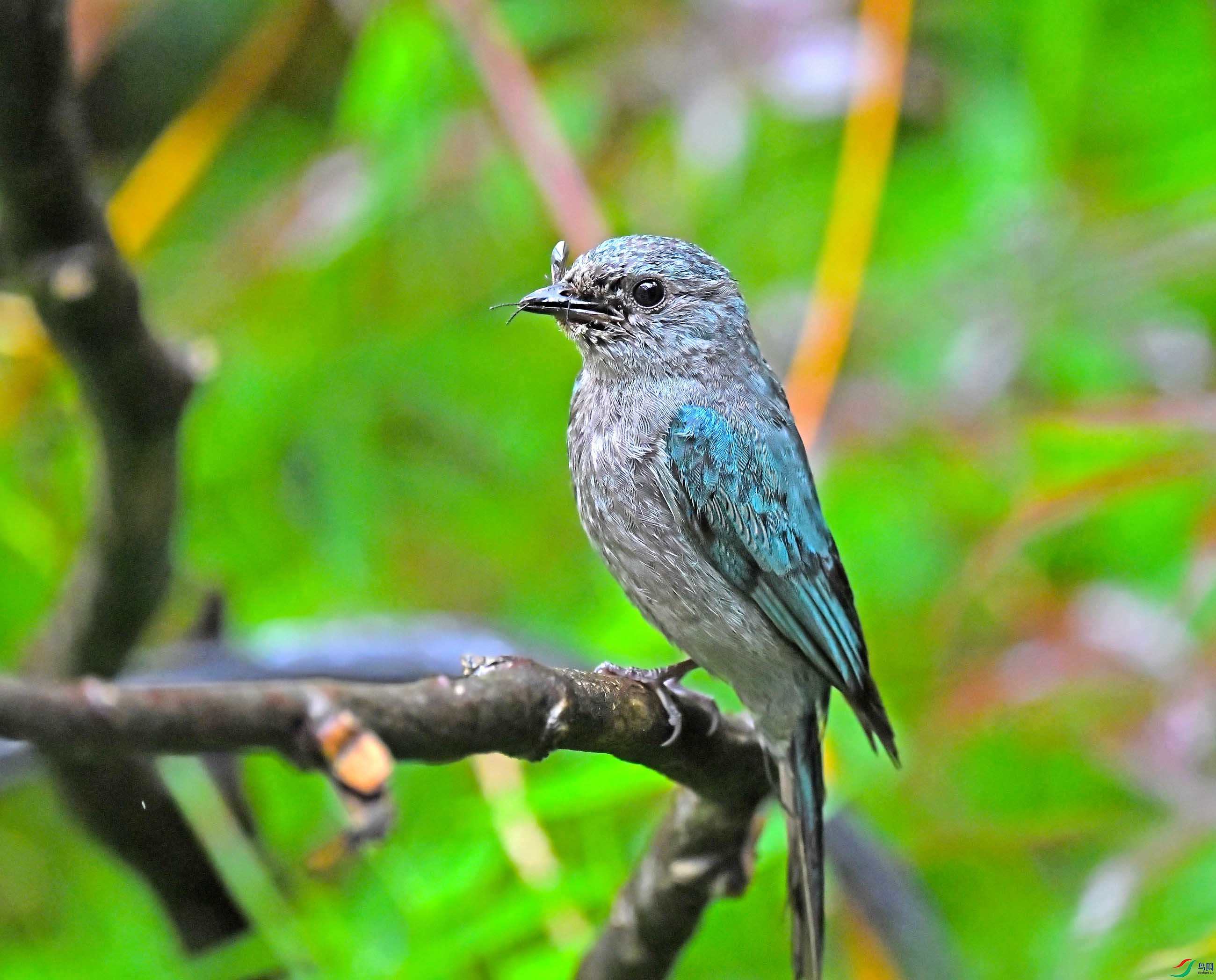 DSC_9533.JPG