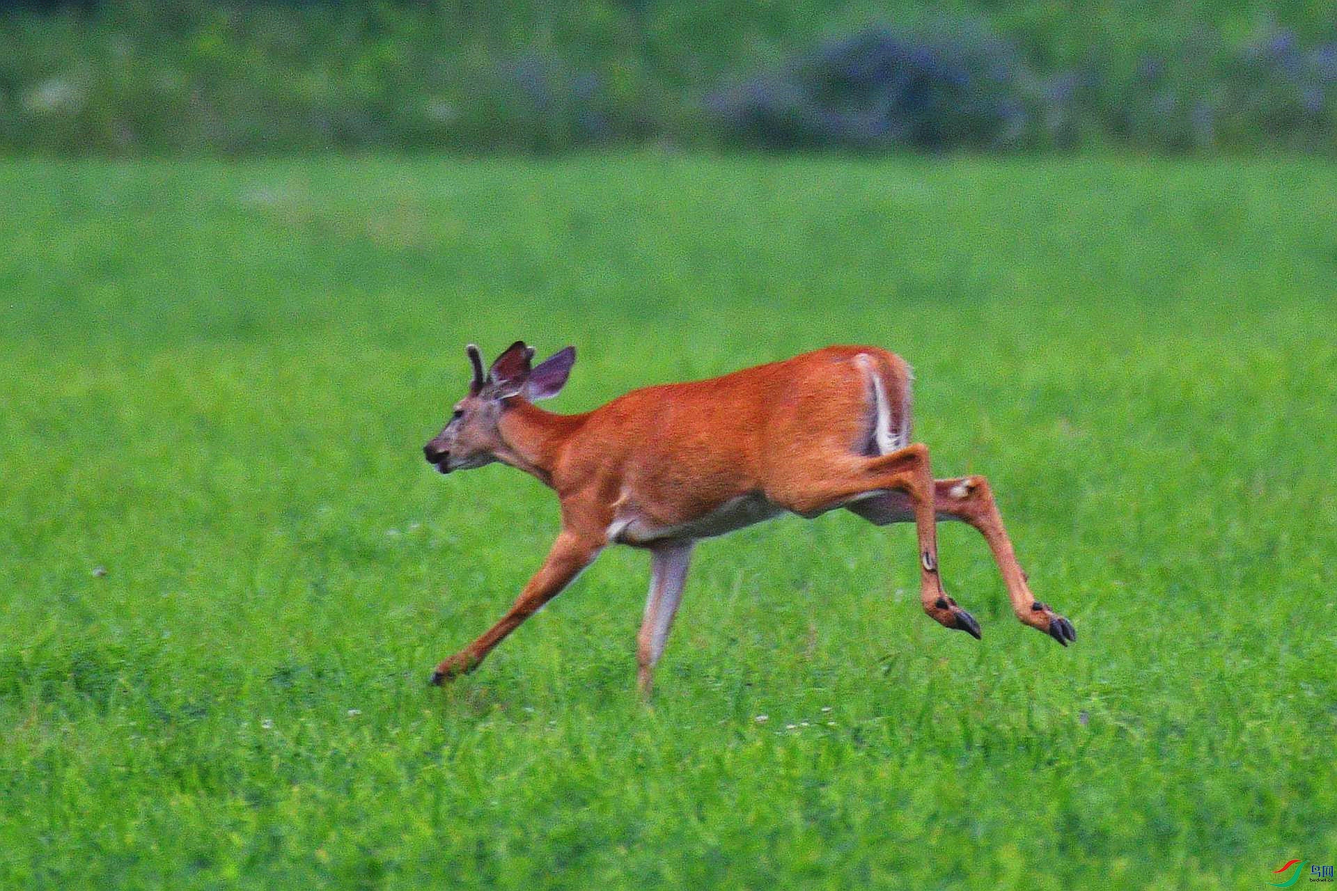 DSC_4591_����.jpg