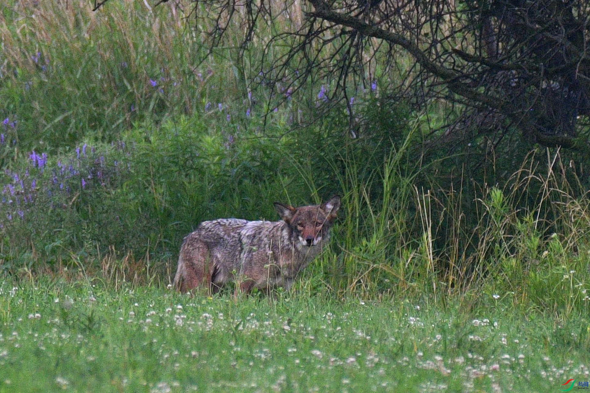 DSC_4928_����.jpg