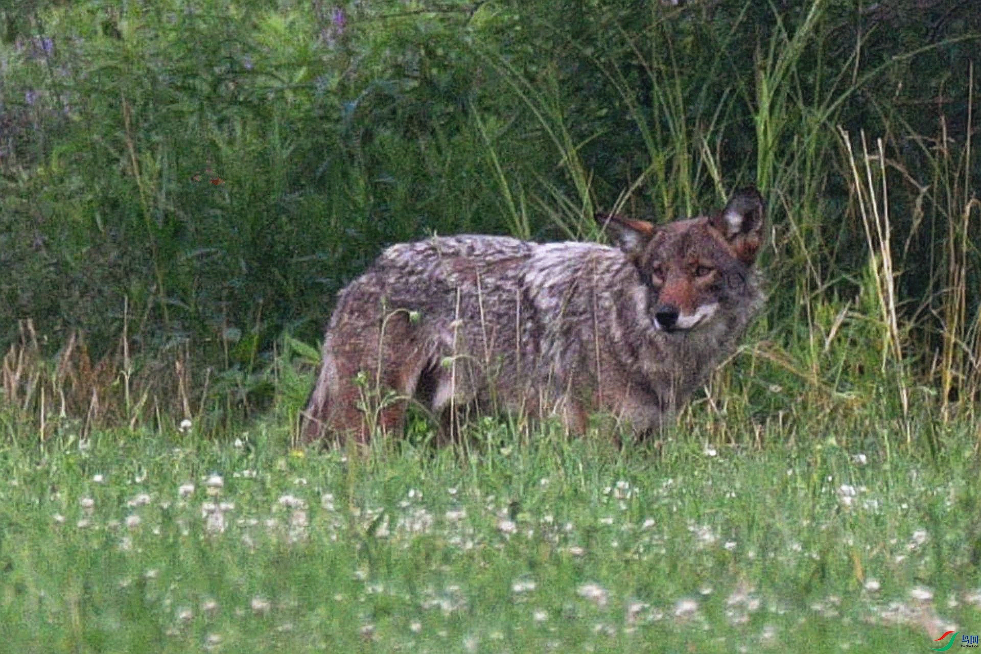 DSC_4929_����.jpg