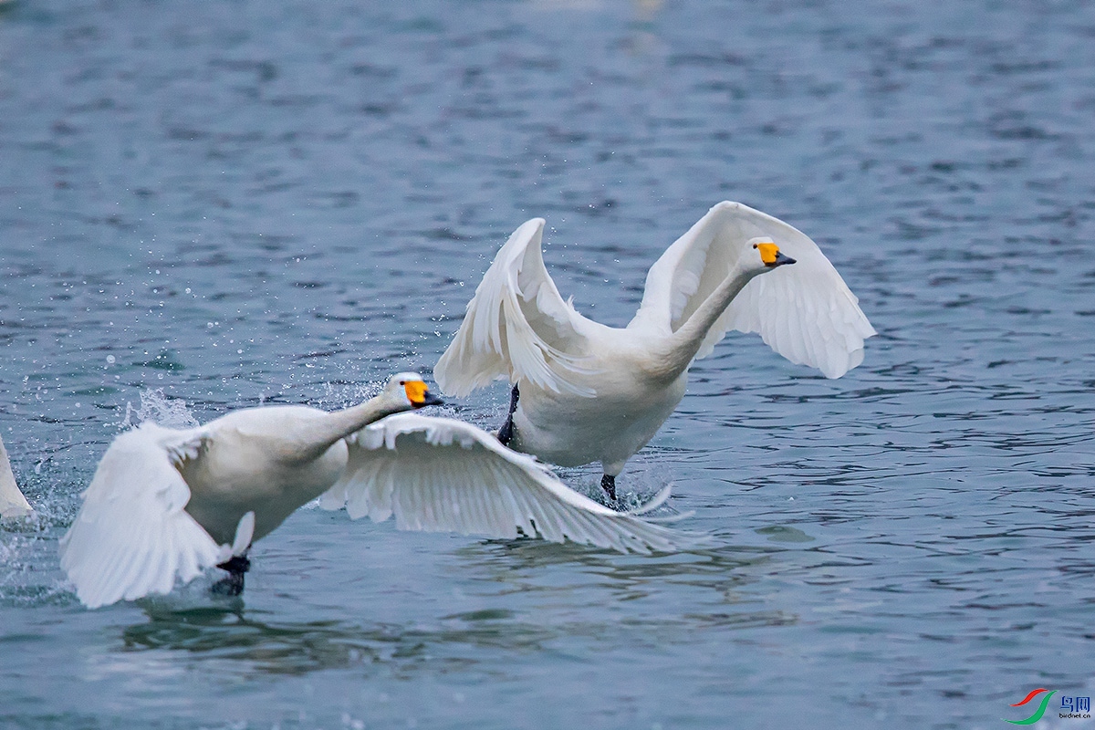 ��� 318_����.jpg