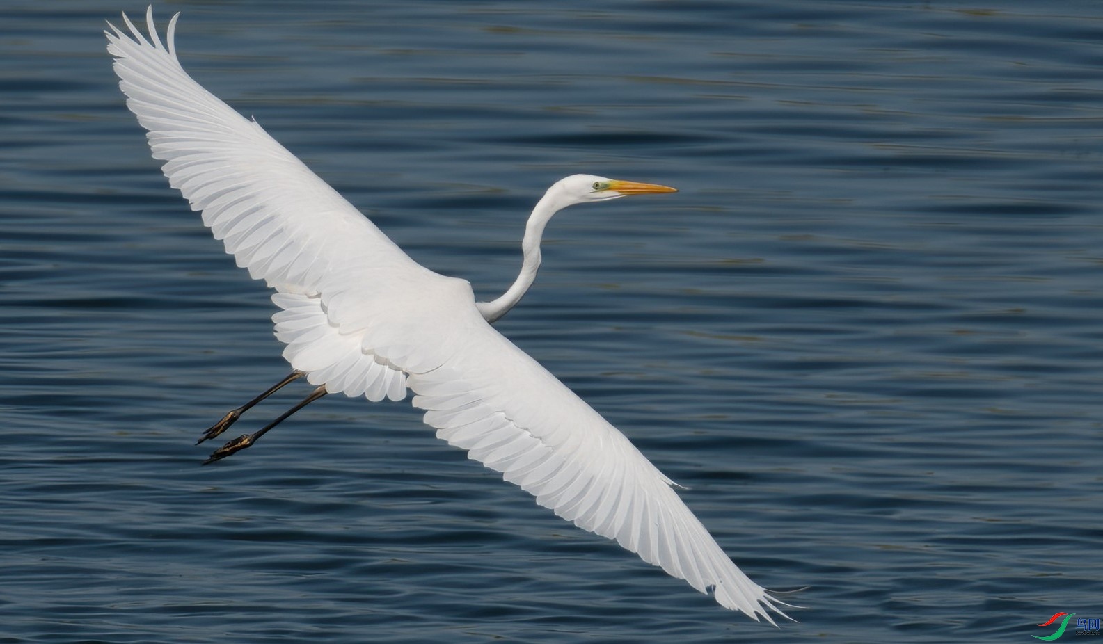 ��ȫչ�����˷���Ĵ����