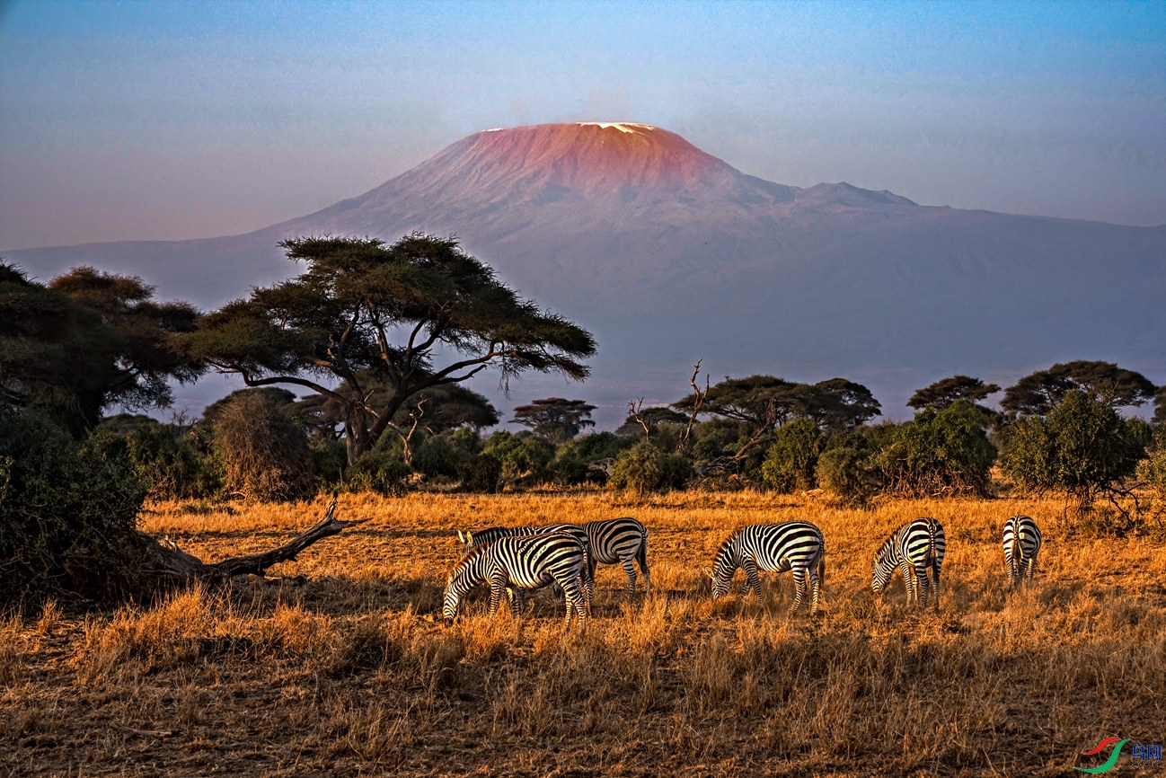 非洲屋脊的早晨,(祝贺闲云野鹤一君老师荣获首页综合精华)