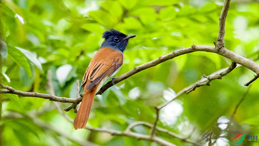 ��DSC_3542.jpg