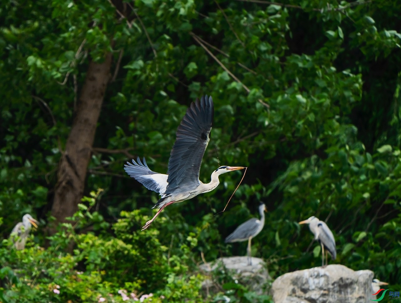 A7C5B8F5-3157-42CC-AB37-16D544A6974C.jpeg