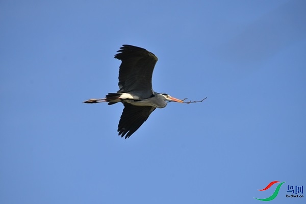 036.JPG