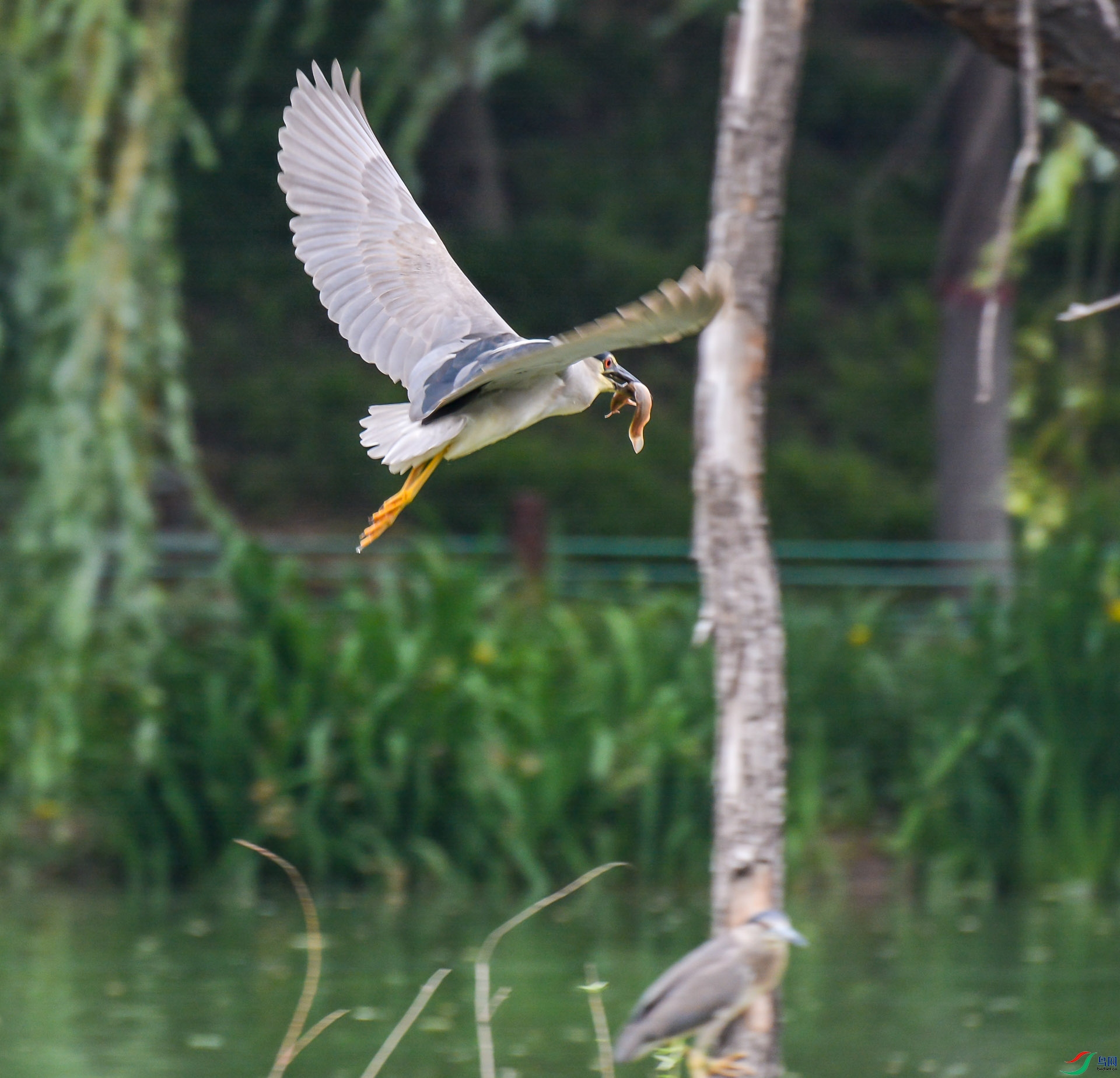 DSC_1535.jpg