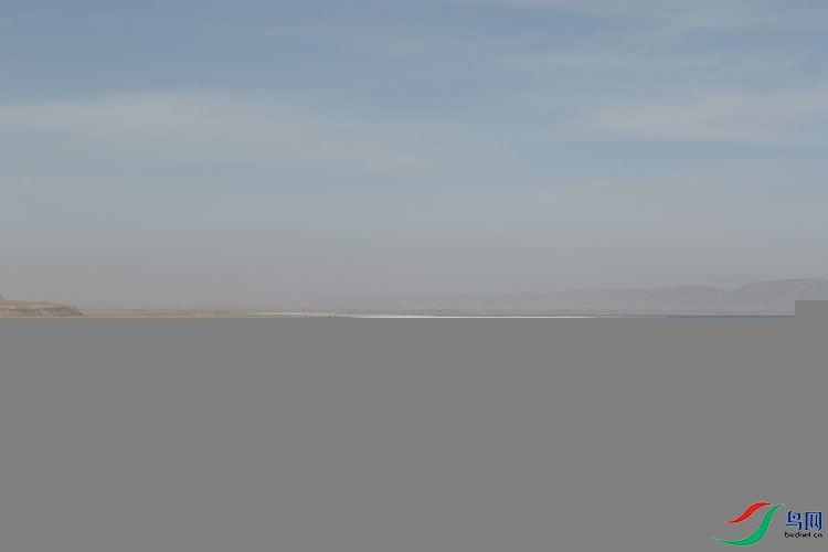 0S2A2591.jpg