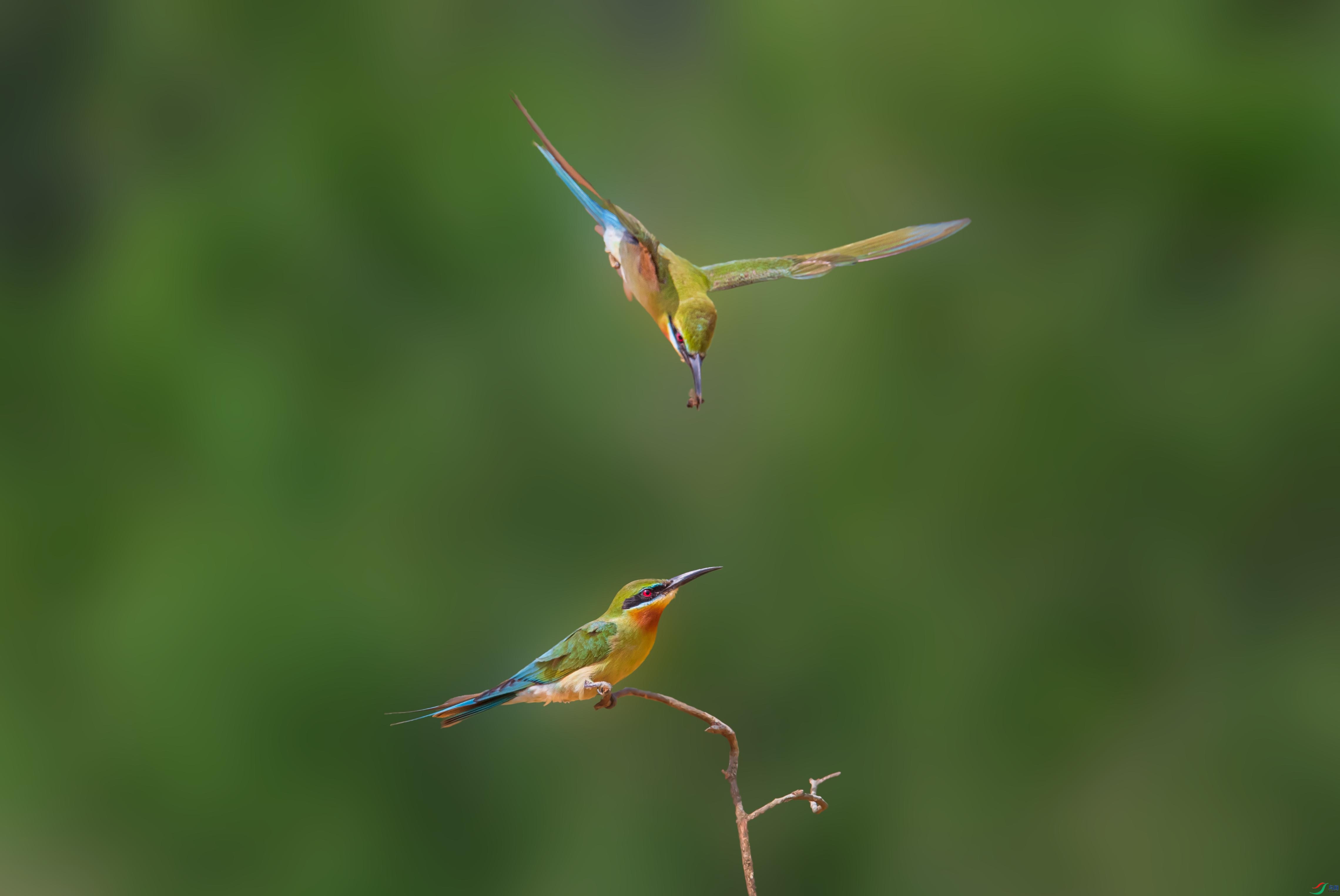 WGB_5499-1.jpg