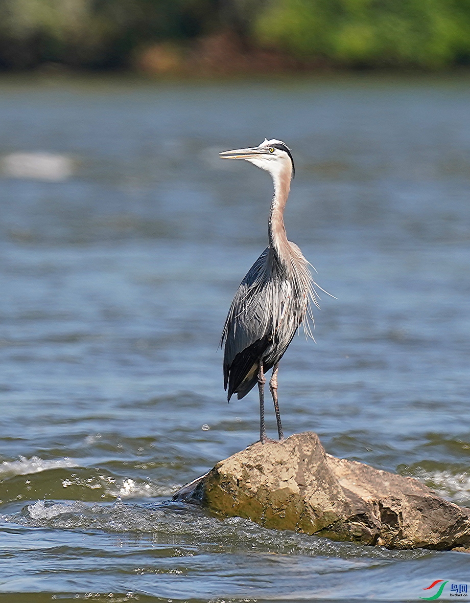 DSC00349----.jpg