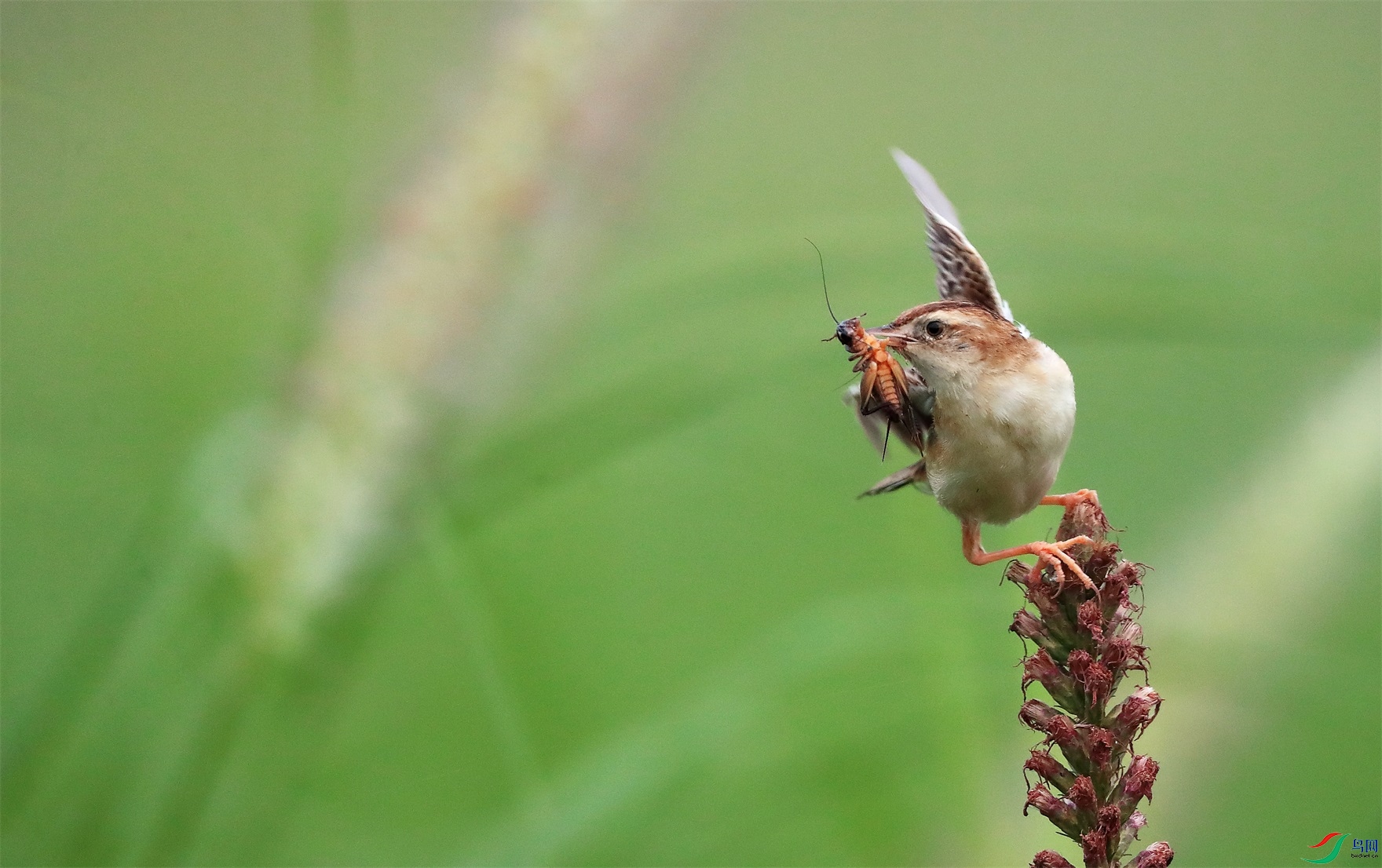 2 - ����.JPG