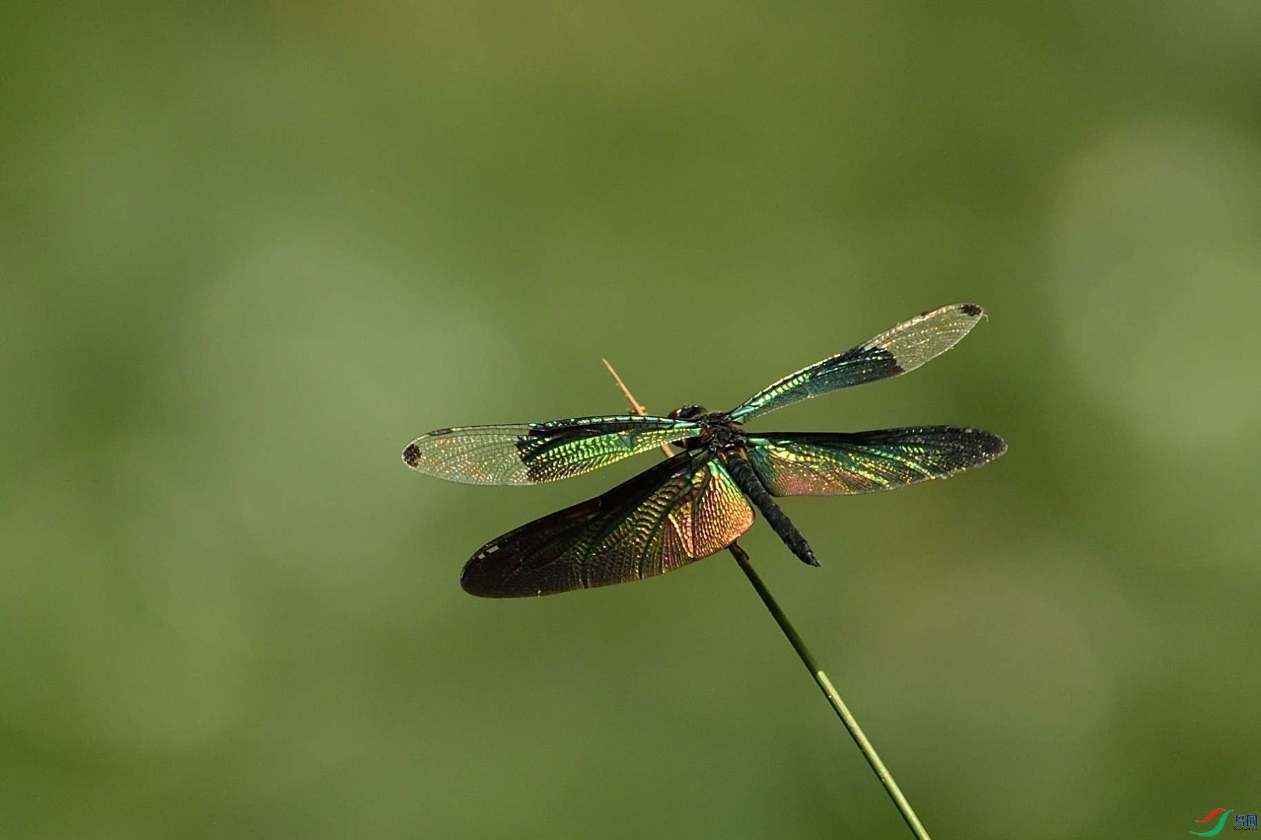 21N_3477_00001.jpg