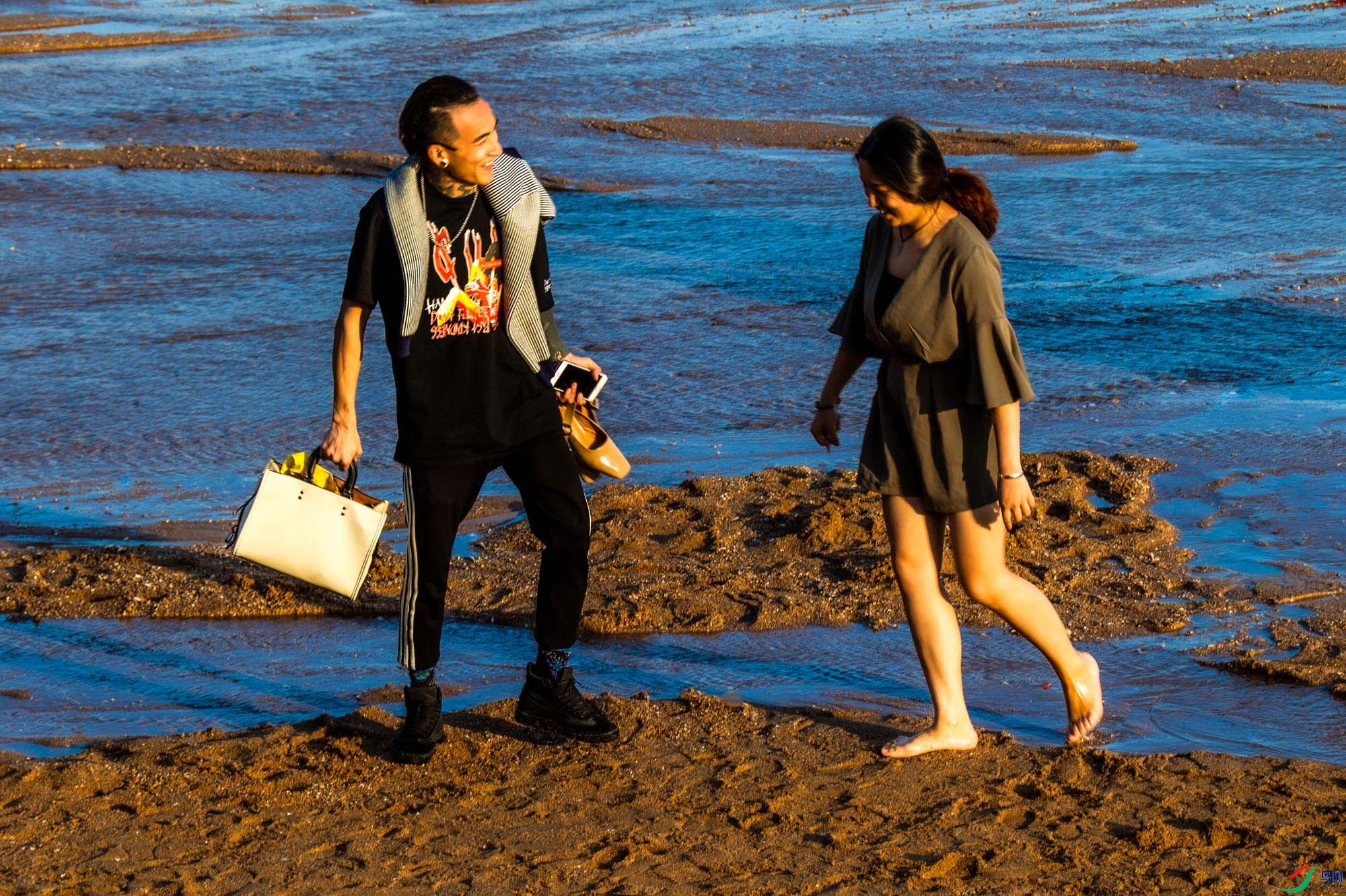 ��̲�ϵ�����