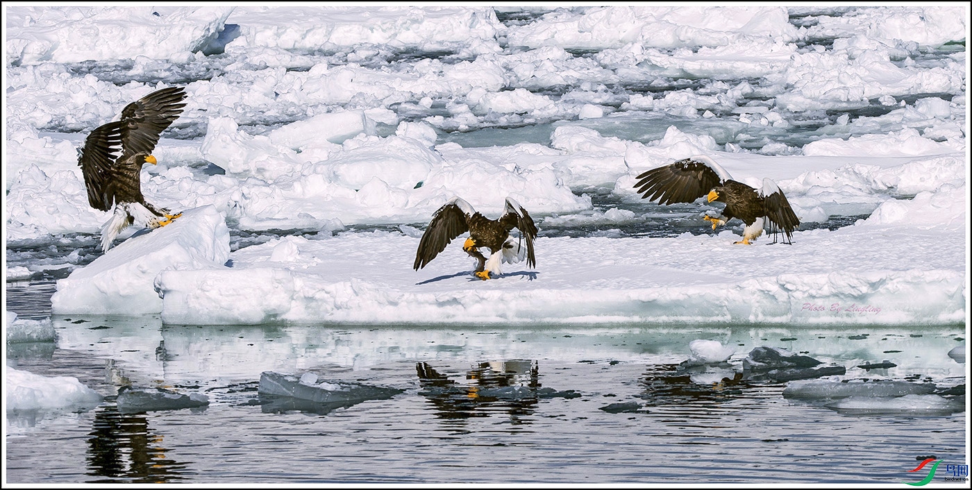 DSC_9171.jpg