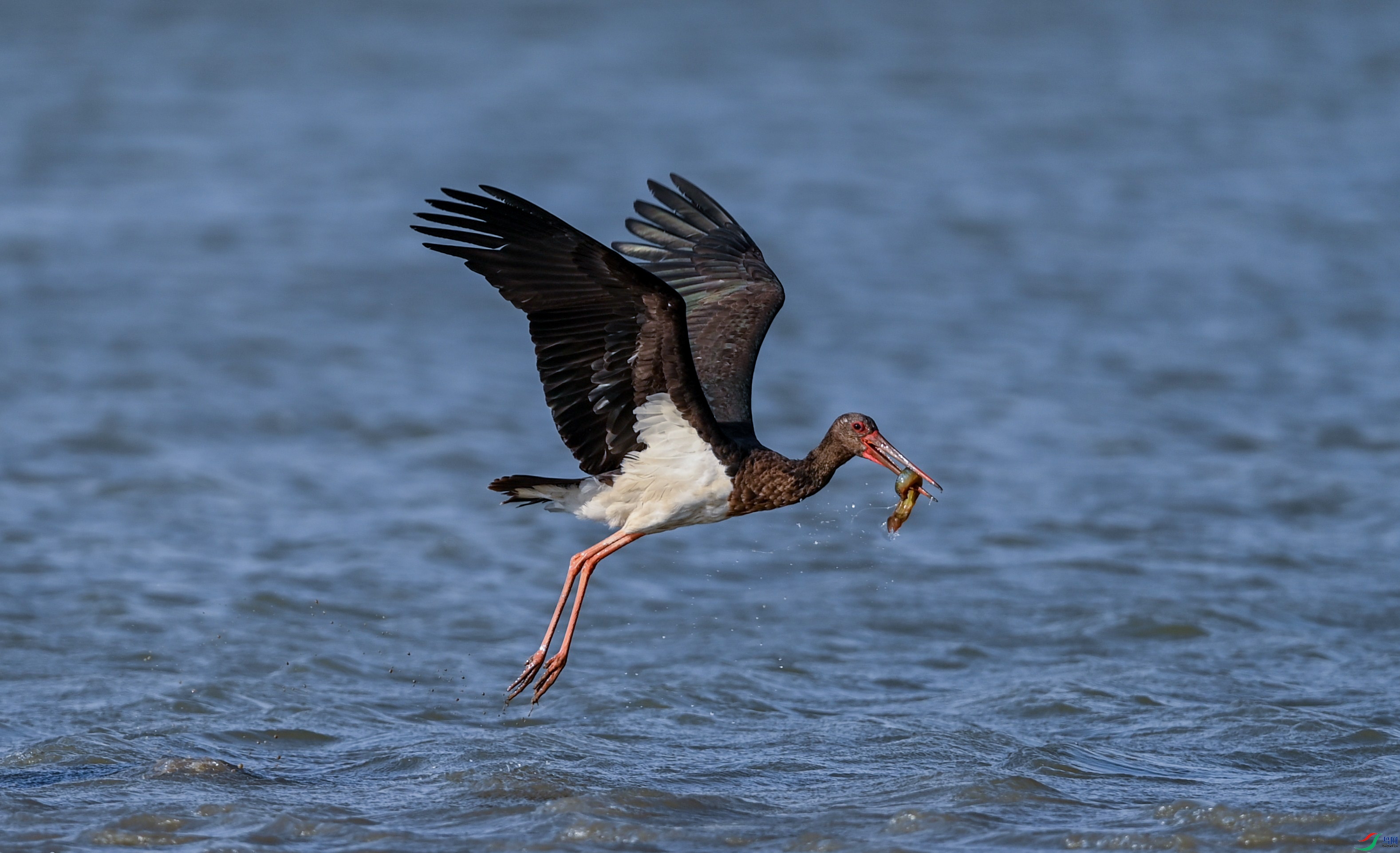 �ܻ������ĺ���