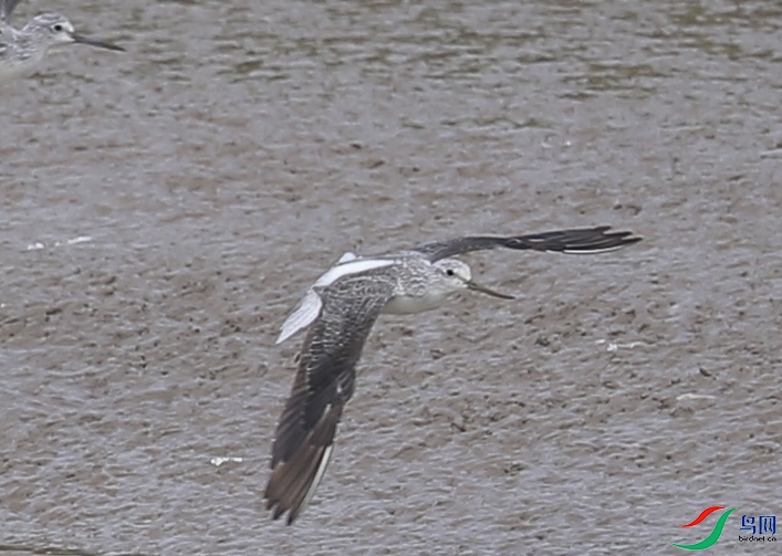 CS3U8784����.jpg