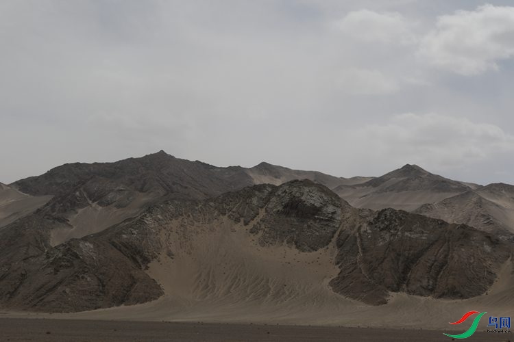 0S2A2226.JPG