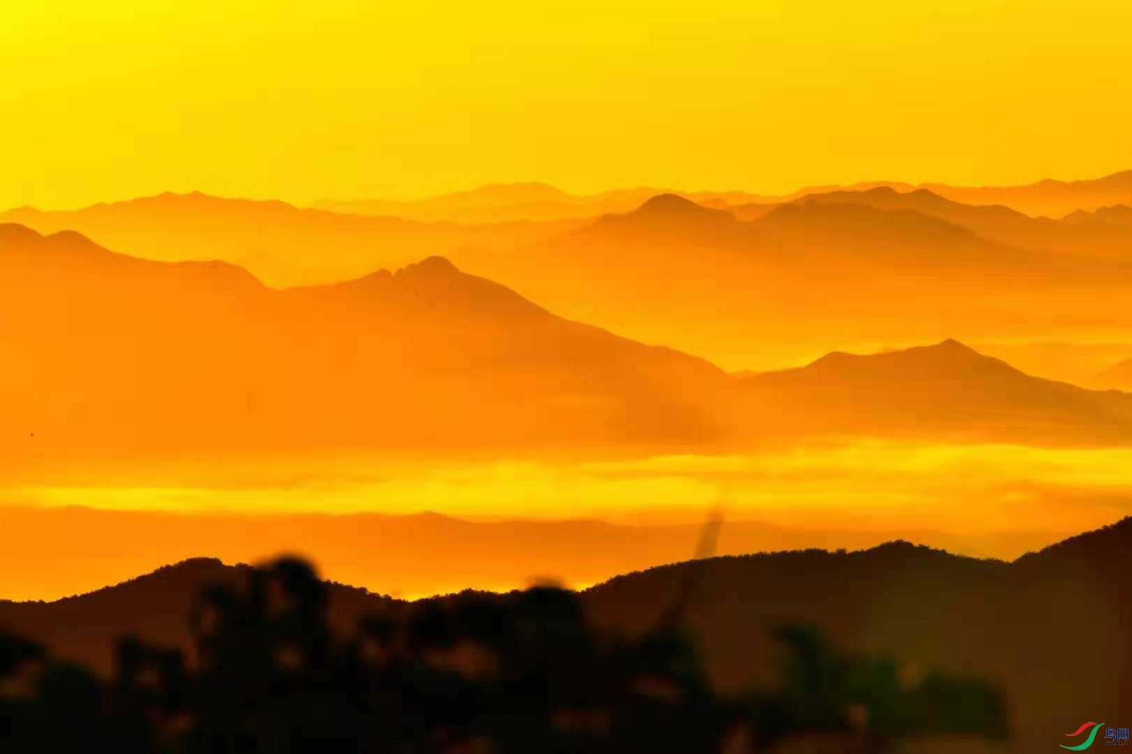 43dd78488dcd2576a6c64f0720c155f.jpg