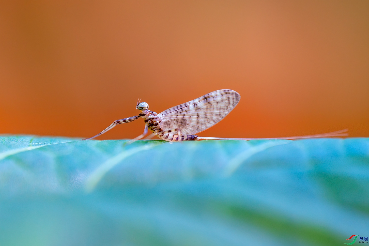 DSC03059-1.jpg