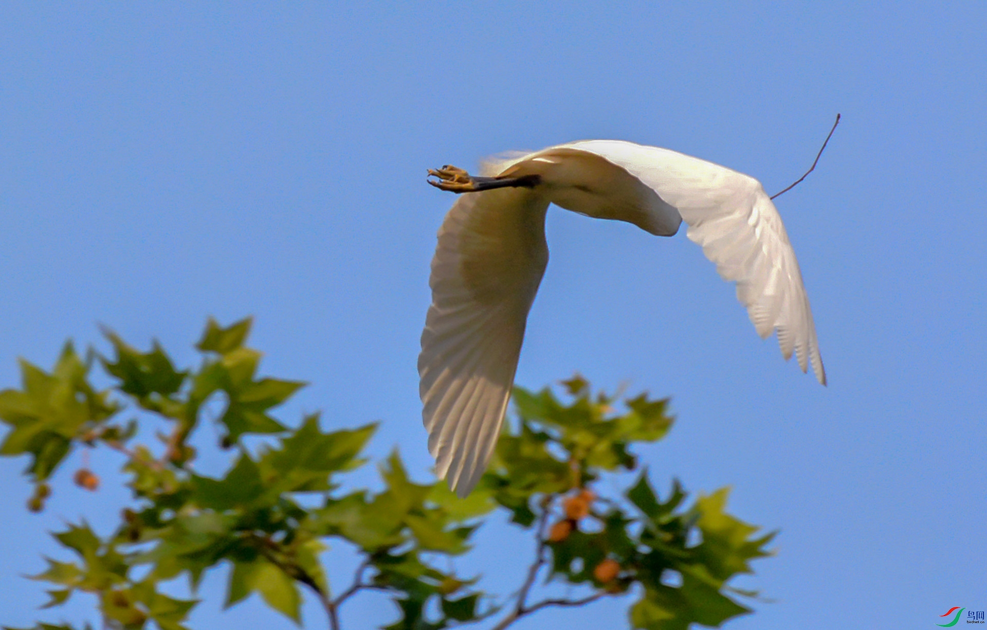 DSC_0217.jpg