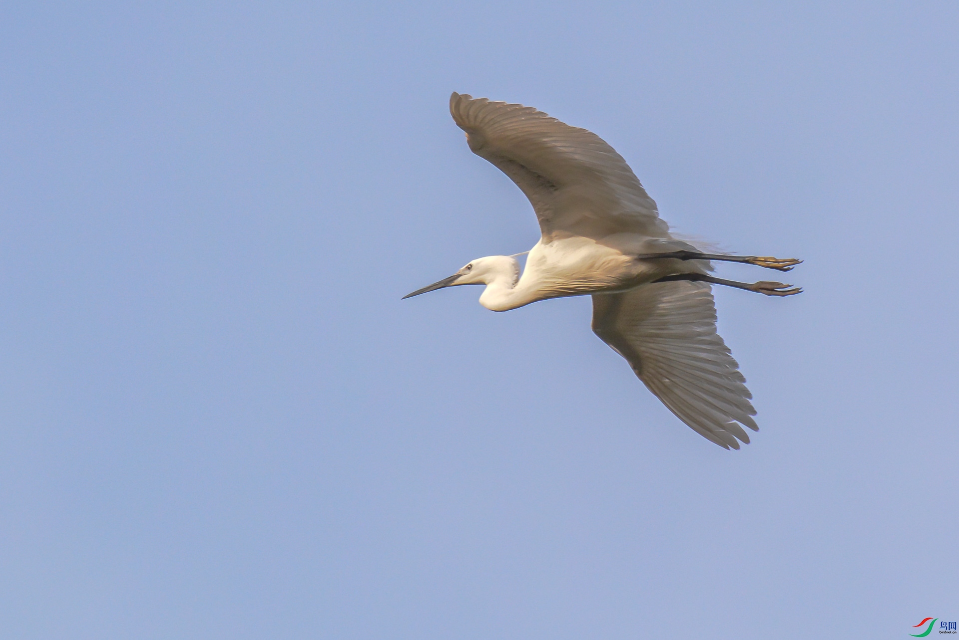 DSC_0226.jpg