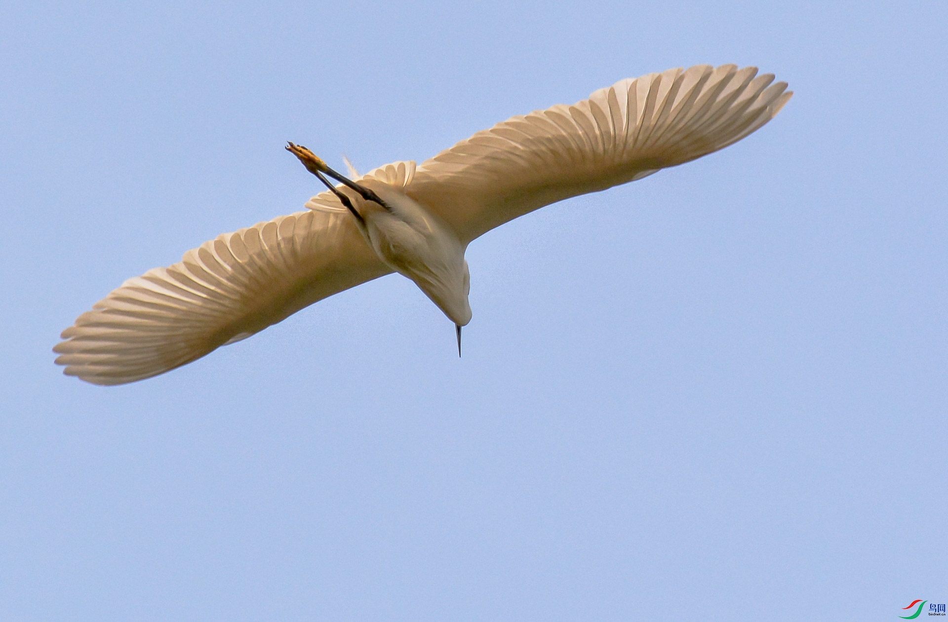 DSC_0251.jpg